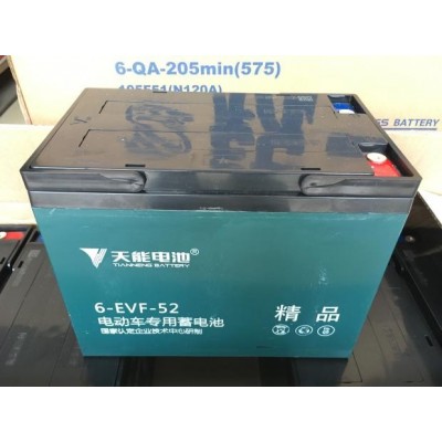 河南新能源电池，电动平车专用-郑州正大新能源天能电池图1