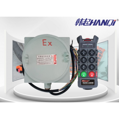 韩起起重电器有限公司热卖遥控器图1