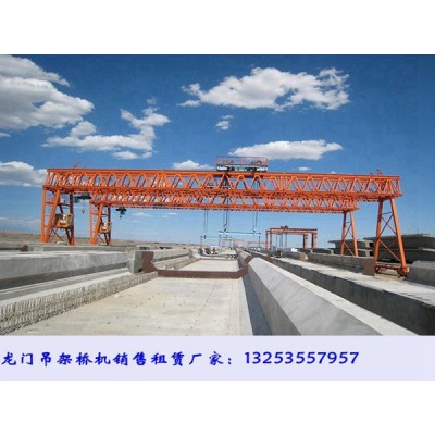 广东河源龙门吊租赁公司120/10吨门