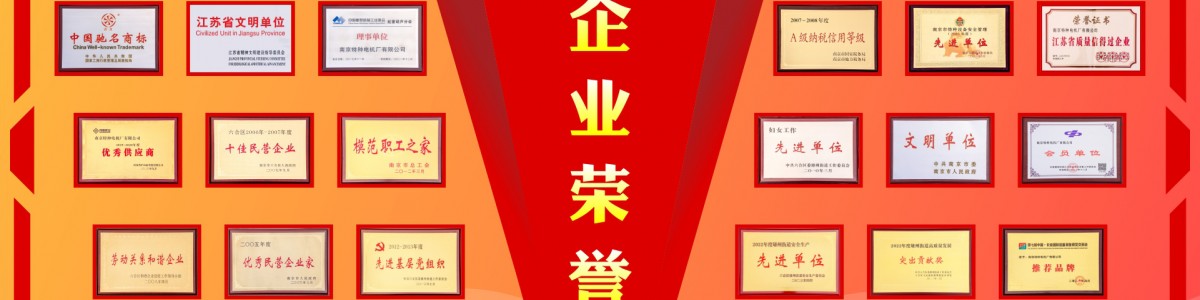  南京特种电机厂有限公司