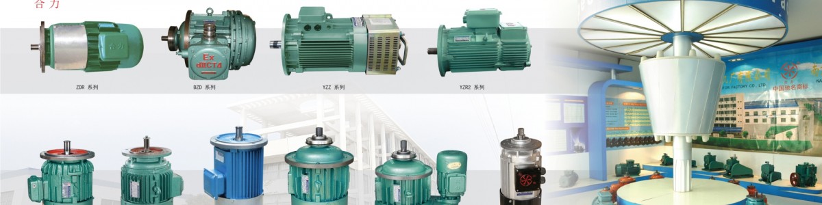  南京特种电机厂有限公司