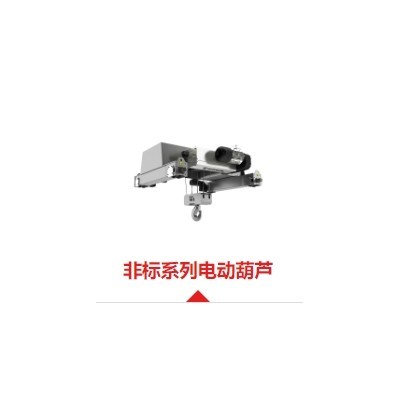 苏州诺威非标起重电动葫芦-诺威起重