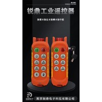 南京锐鼎电子起重四防遥控器-南京锐鼎电子科技有限公司