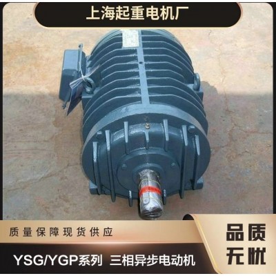 上海起重电机厂有限公司专业上海起