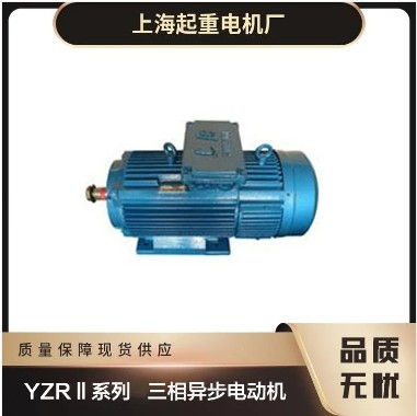 专业上海起重机电动机YZRⅡ系列-上海起重电机厂有限公司