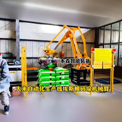 大米搬运双抓关节码垛机器人图5