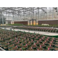 野外大田植物表型平台