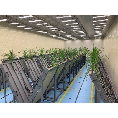 实验室传送带植物表型平台