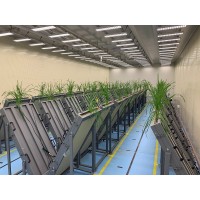 实验室传送带植物表型平台