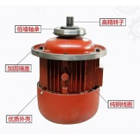 六禾特种锥型起重电机产品拍套电动葫芦厂-南京六禾特种起重电机