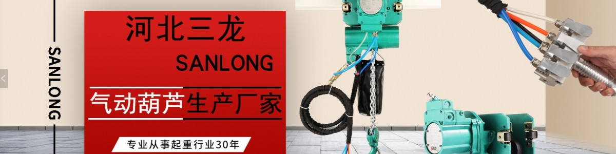 河北三龙起重机械有限公司