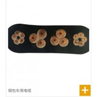 江苏特宝利尔特种电缆主营钢包车专