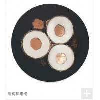 江苏特宝利尔特种盾构机大平方电缆-