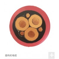 江苏特宝利尔特种盾构机大平方红色