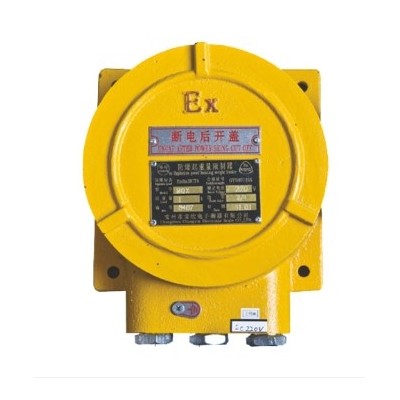 常州常欣起重电子衡器制造QCX型系列防爆起重量限制器