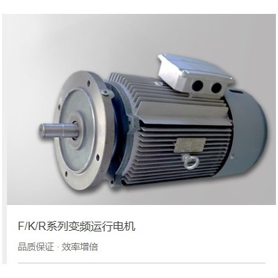 河南锐思特科技有限公司变频运行起重电机河南锐思特科技有限公司