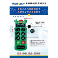 上海韩起起重电器遥控器供应河南矿山起重机厂祝大家今年发财