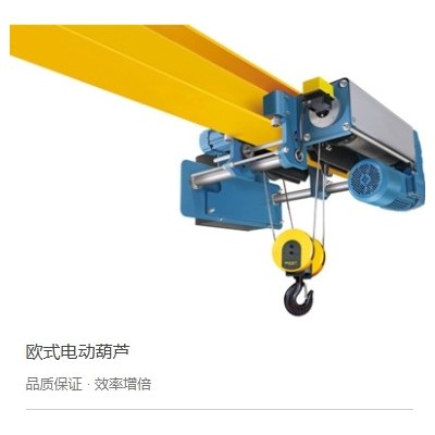 河南锐思特科技研发的欧式起重电动