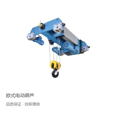 河南锐思特科技欧式起重电动葫芦配