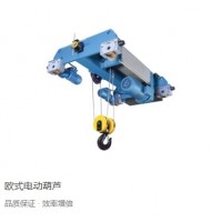 河南锐思特科技欧式起重电动葫芦配套起重机使用-河南锐思特科技
