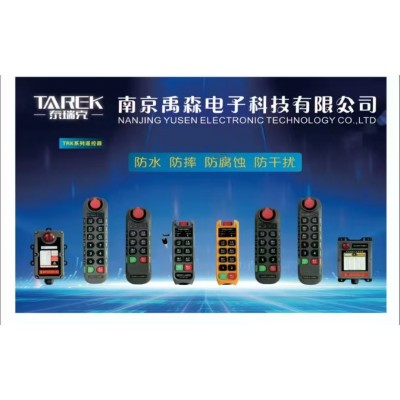 南京禹森电子科技泰瑞克智能四防遥控器各系列展示