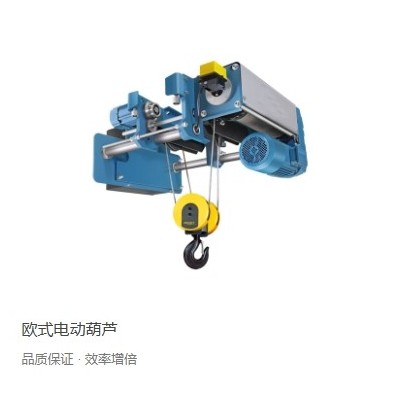 河南锐思特科技欧式电动葫芦起重电