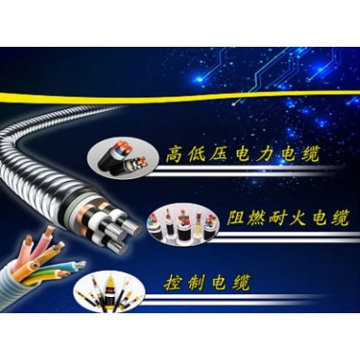 河南卓越电力扁电缆线-河南卓越钢厂