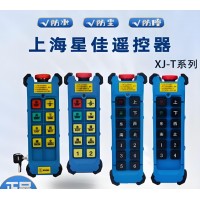 上海星佳电子科技专业研发起重工业遥控器