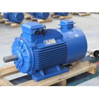 MDSP系列变频电机大连电机厂