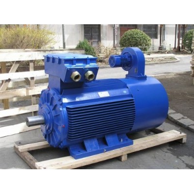 MDSP系列变频电机大连电机厂图2