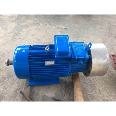 YZRW冶金起重涡流制动绕线转子电机大连电机图2