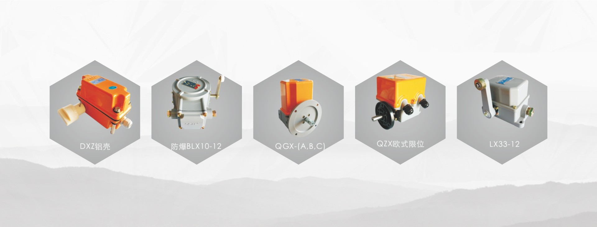 上海乔正电器起重量限制器