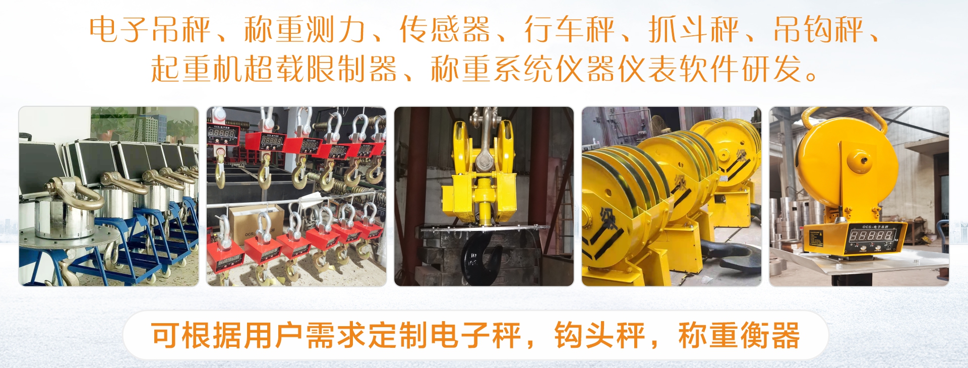 常州市常欣电子衡器有限公司