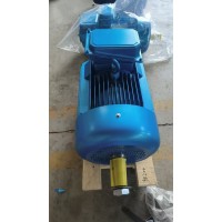 黑龙江佳木斯宏力起重电机可定制可出口