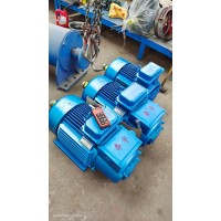 河南奔宇电机科技起重电机送货到物流-奔宇科技YZR起重电机